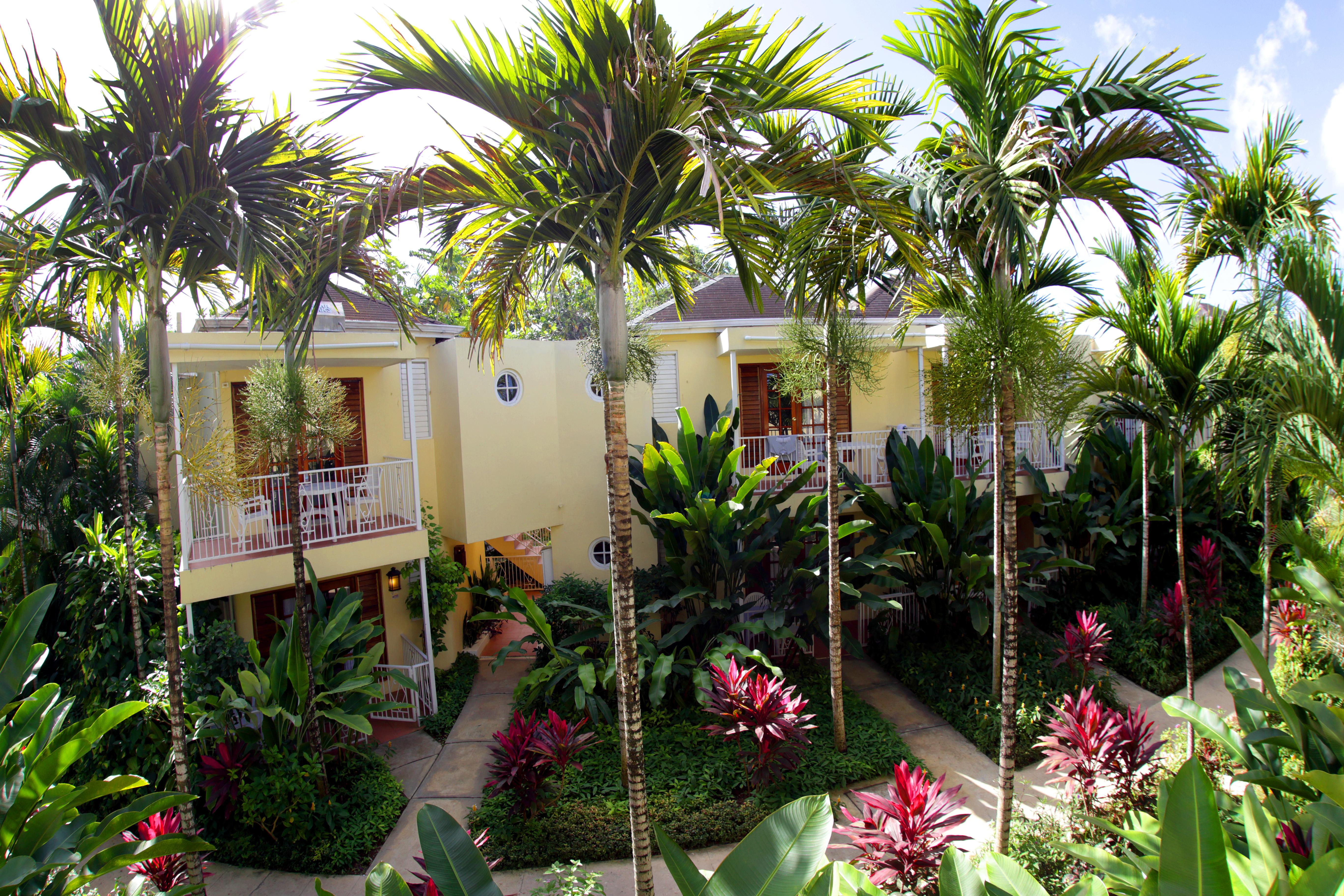 Hotel Negril Palms Exterior foto